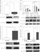 https://www.archivesofmedicalscience.com/f/fulltexts/100415/AMS-16-2-34700-g006_min.jpg