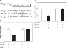 https://www.archivesofmedicalscience.com/f/fulltexts/103379/AMS-18-2-103379-g004_min.jpg