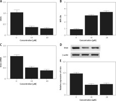 https://www.archivesofmedicalscience.com/f/fulltexts/103379/AMS-18-2-103379-g006_min.jpg