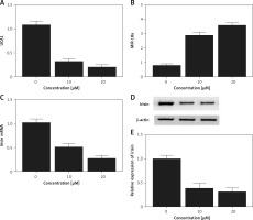 https://www.archivesofmedicalscience.com/f/fulltexts/103379/AMS-18-2-103379-g007_min.jpg