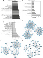 https://www.archivesofmedicalscience.com/f/fulltexts/103605/AMS-16-6-41751-g003_min.jpg