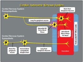 https://www.archivesofmedicalscience.com/f/fulltexts/103607/AMS-17-6-103607-g001_min.jpg