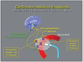 https://www.archivesofmedicalscience.com/f/fulltexts/103607/AMS-17-6-103607-g003_min.jpg