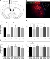 https://www.archivesofmedicalscience.com/f/fulltexts/105971/AMS-17-5-105971-g002_min.jpg