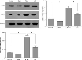 https://www.archivesofmedicalscience.com/f/fulltexts/106182/AMS-17-2-106182-g003_min.jpg