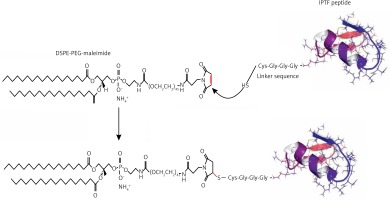 https://www.archivesofmedicalscience.com/f/fulltexts/106194/AMS-15-36483-g001_min.jpg