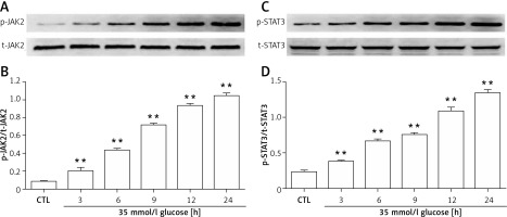 https://www.archivesofmedicalscience.com/f/fulltexts/106206/AMS-17-5-106206-g002_min.jpg