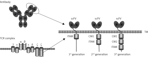 https://www.archivesofmedicalscience.com/f/fulltexts/106265/AMS-17-5-106265-g001_min.jpg