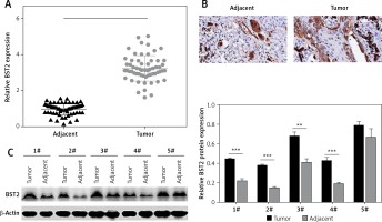 https://www.archivesofmedicalscience.com/f/fulltexts/108624/AMS-17-6-108624-g001_min.jpg