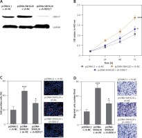 https://www.archivesofmedicalscience.com/f/fulltexts/108673/AMS-17-6-108673-g007_min.jpg