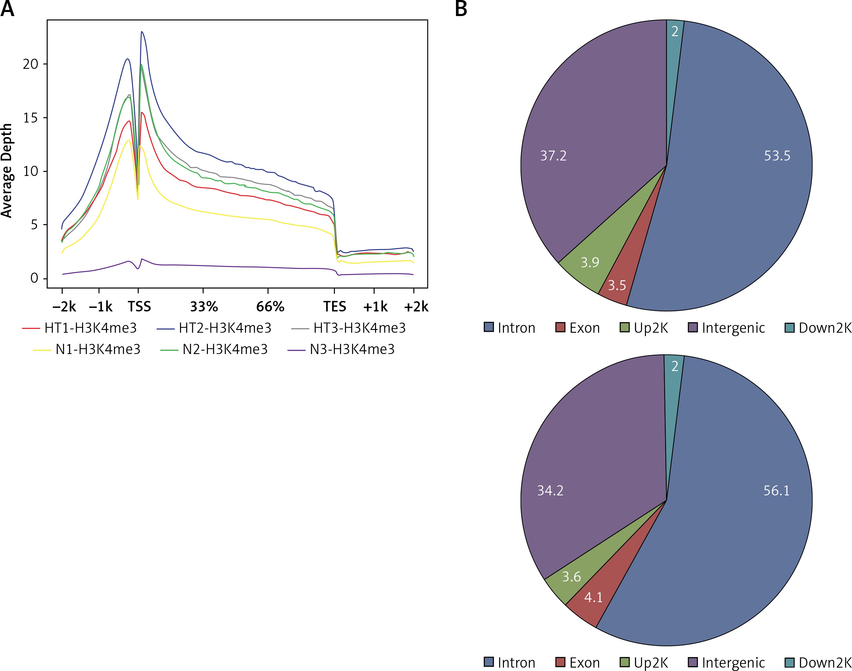 Histone methyltransferases Setd1b increases H3K4me3 level to