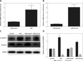 https://www.archivesofmedicalscience.com/f/fulltexts/108932/AMS-18-1-108932-g003_min.jpg