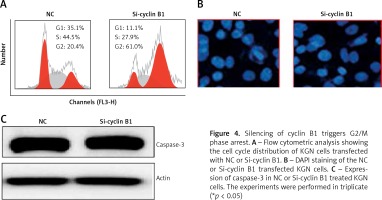 https://www.archivesofmedicalscience.com/f/fulltexts/109020/AMS-18-3-109020-g004_min.jpg