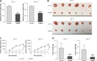 https://www.archivesofmedicalscience.com/f/fulltexts/109497/AMS-18-3-109497-g003_min.jpg