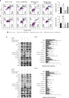 https://www.archivesofmedicalscience.com/f/fulltexts/109497/AMS-18-3-109497-g006a_min.jpg