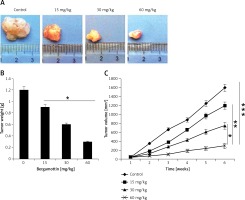 https://www.archivesofmedicalscience.com/f/fulltexts/109643/AMS-18-6-109643-g009_min.jpg