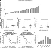 https://www.archivesofmedicalscience.com/f/fulltexts/109798/AMS-18-6-109798-g002_min.jpg