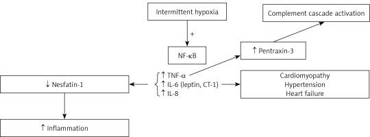 https://www.archivesofmedicalscience.com/f/fulltexts/109809/AMS-17-5-109809-g001_min.jpg