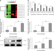 https://www.archivesofmedicalscience.com/f/fulltexts/110286/AMS-18-6-110286-g001_min.jpg