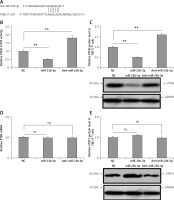 https://www.archivesofmedicalscience.com/f/fulltexts/110286/AMS-18-6-110286-g003_min.jpg