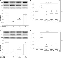 https://www.archivesofmedicalscience.com/f/fulltexts/110461/AMS-19-1-110461-g005_min.jpg