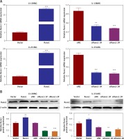 https://www.archivesofmedicalscience.com/f/fulltexts/110522/AMS-18-3-110522-g002_min.jpg