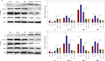 https://www.archivesofmedicalscience.com/f/fulltexts/110522/AMS-18-3-110522-g003a_min.jpg