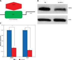 https://www.archivesofmedicalscience.com/f/fulltexts/110785/AMS-17-3-110785-g003_min.jpg