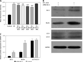 https://www.archivesofmedicalscience.com/f/fulltexts/110948/AMS-19-2-110948-g004_min.jpg