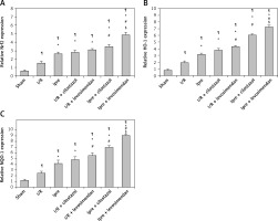 https://www.archivesofmedicalscience.com/f/fulltexts/111373/AMS-17-6-111373-g007_min.jpg