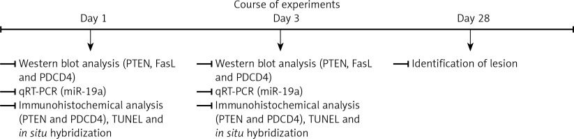 https://www.archivesofmedicalscience.com/f/fulltexts/112326/AMS-19-3-112326-g001_min.jpg