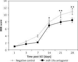 https://www.archivesofmedicalscience.com/f/fulltexts/112326/AMS-19-3-112326-g004_min.jpg