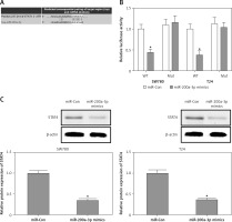 https://www.archivesofmedicalscience.com/f/fulltexts/112696/AMS-19-3-112696-g004_min.jpg