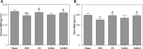 https://www.archivesofmedicalscience.com/f/fulltexts/112755/AMS-19-5-112755-g003_min.jpg