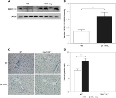 https://www.archivesofmedicalscience.com/f/fulltexts/113029/AMS-18-6-113029-g001_min.jpg