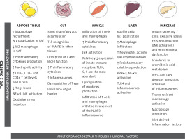 https://www.archivesofmedicalscience.com/f/fulltexts/113329/AMS-19-4-113329-g001_min.jpg