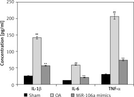 https://www.archivesofmedicalscience.com/f/fulltexts/113998/AMS-20-1-113998-g001_min.jpg