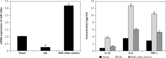 https://www.archivesofmedicalscience.com/f/fulltexts/113998/AMS-20-1-113998-g005_min.jpg