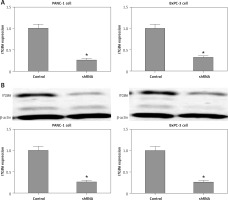 https://www.archivesofmedicalscience.com/f/fulltexts/114039/AMS-20-1-114039-g003_min.jpg