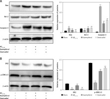 https://www.archivesofmedicalscience.com/f/fulltexts/114462/AMS-17-2-114462-g004_min.jpg