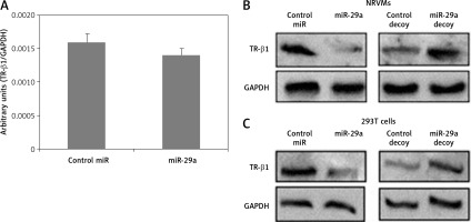 https://www.archivesofmedicalscience.com/f/fulltexts/114628/AMS-20-2-114628-g005_min.jpg