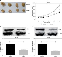 https://www.archivesofmedicalscience.com/f/fulltexts/115135/AMS-18-3-115135-g004_min.jpg