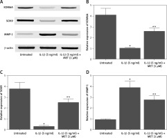 https://www.archivesofmedicalscience.com/f/fulltexts/117427/AMS-22-1-117427-g001_min.jpg