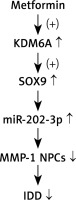 https://www.archivesofmedicalscience.com/f/fulltexts/117427/AMS-22-1-117427-g008_min.jpg