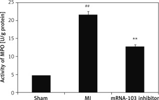https://www.archivesofmedicalscience.com/f/fulltexts/117704/AMS-21-1-117704-g004_min.jpg