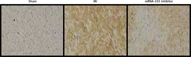 https://www.archivesofmedicalscience.com/f/fulltexts/117704/AMS-21-1-117704-g005_min.jpg