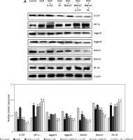 https://www.archivesofmedicalscience.com/f/fulltexts/118306/AMS-21-4-118306-g006_min.jpg