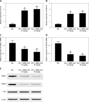 https://www.archivesofmedicalscience.com/f/fulltexts/118940/AMS-21-4-118940-g003_min.jpg