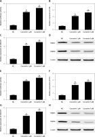https://www.archivesofmedicalscience.com/f/fulltexts/118940/AMS-21-4-118940-g006_min.jpg