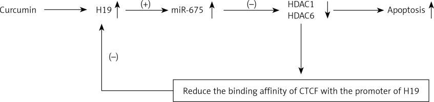 https://www.archivesofmedicalscience.com/f/fulltexts/118940/AMS-21-4-118940-g009_min.jpg